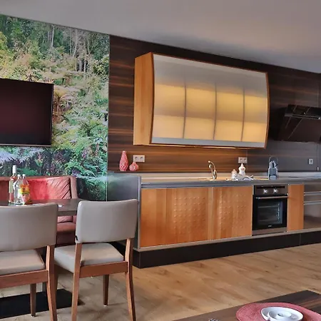 Citysuite 4pers Direkt In Der Apartment *